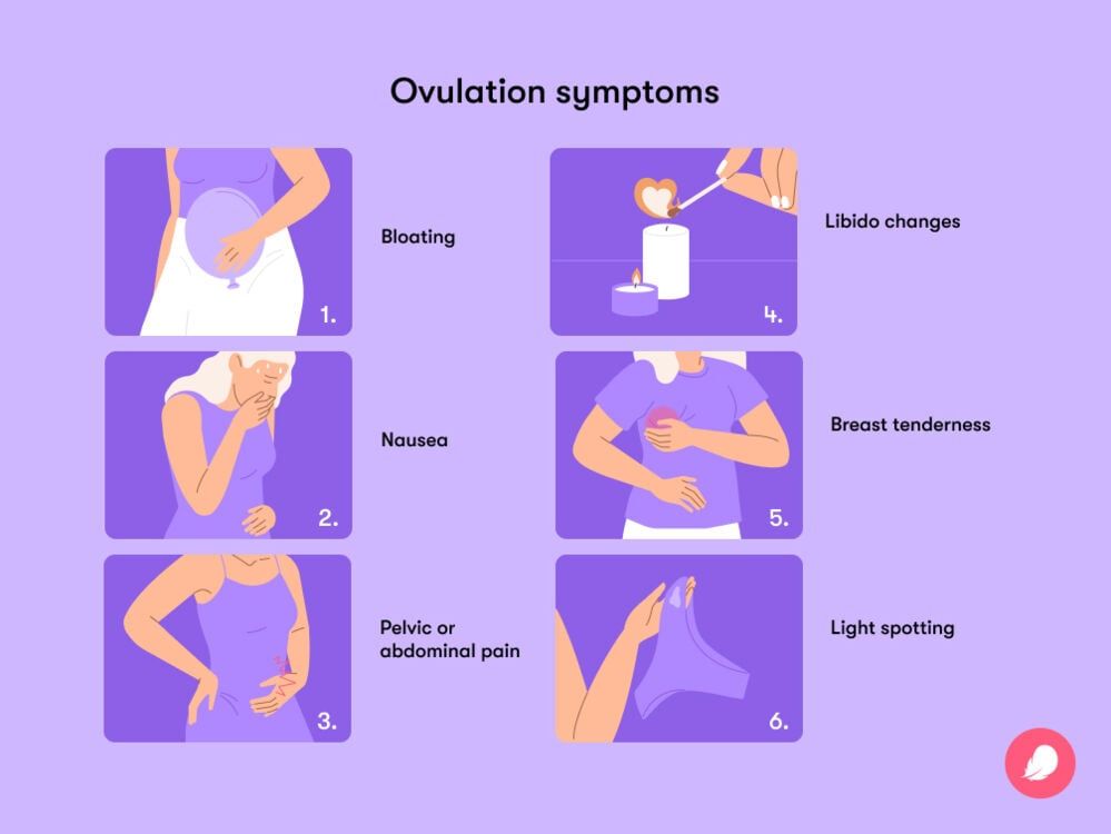 Signs of Ovulation Every Woman Should Know